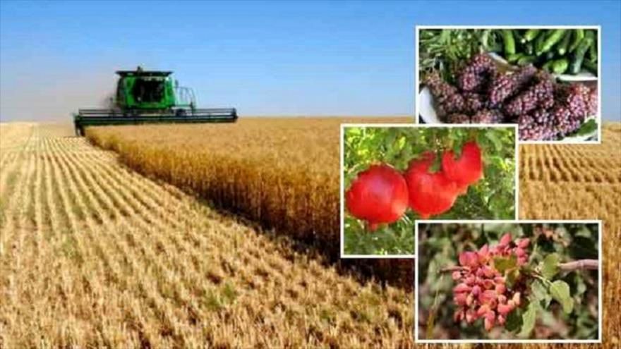 تولید سالانه یک میلیون تن محصولات کشاورزی در استان اردبیل