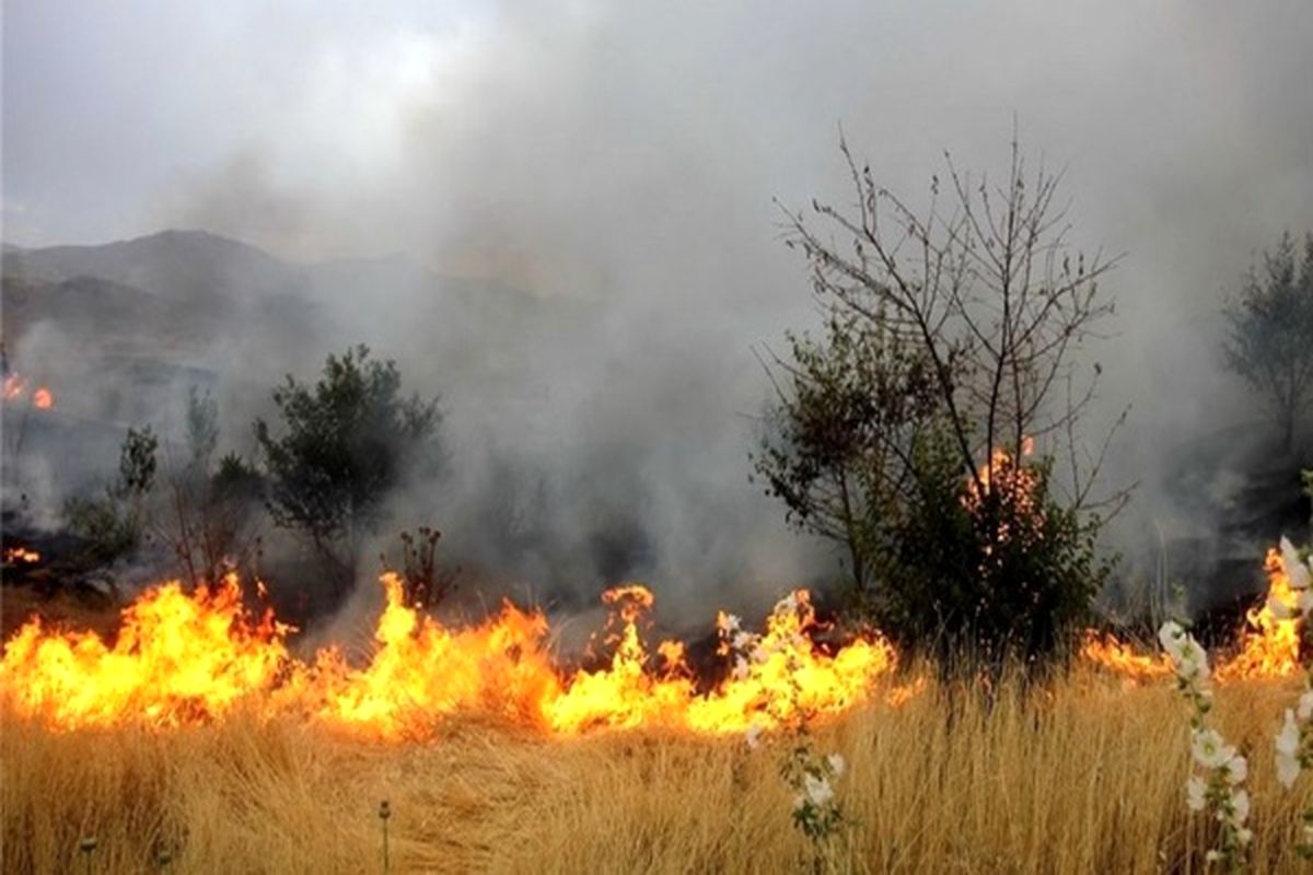 حریق 3 هکتار از مراتع روستای لایبید در شاهین شهر 