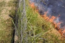 ۷ اکیپ مقابله با آتش‌سوزی مزارع در اردبیل فعال شد