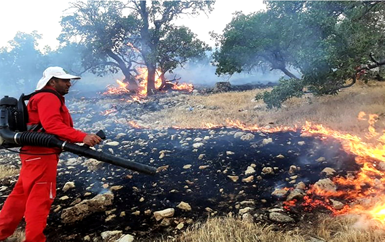 کاهش چشمگیر آتش‌سوزی در مناطق زیست محیطی خراسان رضوی