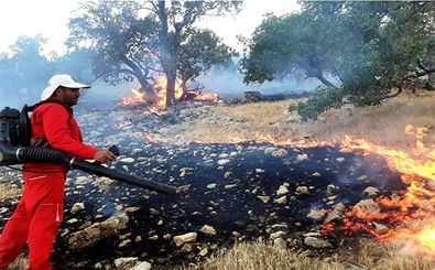 کاهش چشمگیر آتش‌سوزی در مناطق زیست محیطی خراسان رضوی