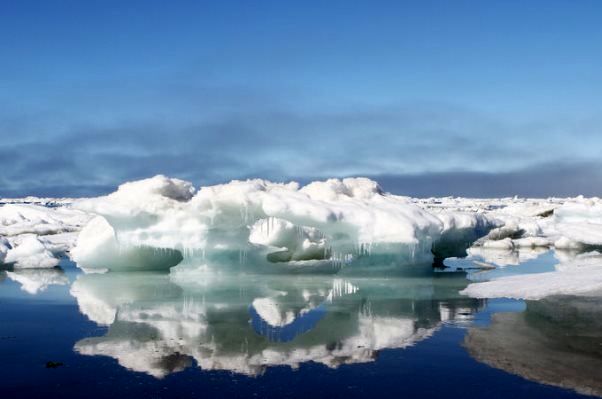 یخ های قطب شمال با سرعت در حال ذوب شدن هستند