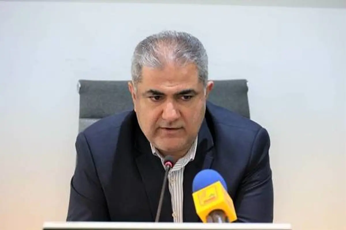 مدیرعامل سازمان ملی زمین و مسکن