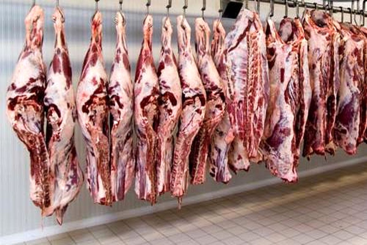 تشدید نوسانات بازار گوشت در ماه رمضان/به مسوولان هشدار داده ایم