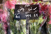 پیکر محمدرضا باطنی در بهشت‌ زهرا به خاک سپرده شد