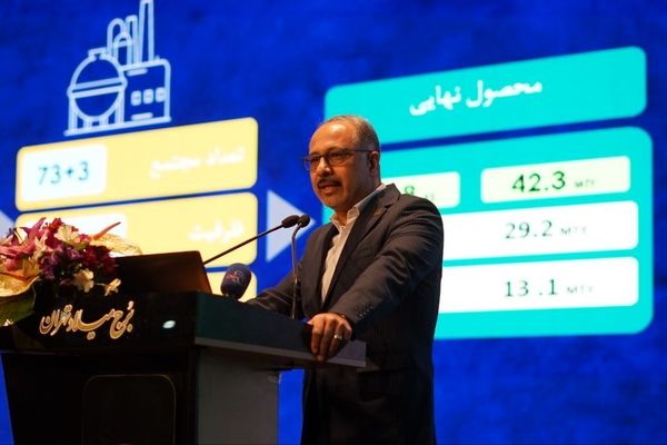 اختلاف قیمت گذاری گاز نیروگاه ها و پتروشیمی ها