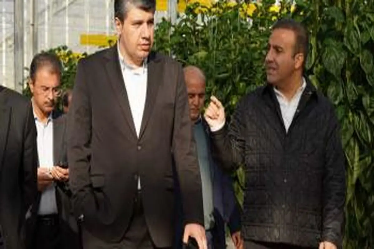 بانک توسعه صادرات ایران