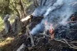 آتش‌سوزی در منطقه حفاظت‌شده مانشت مهار شد