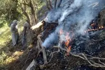 آتش‌سوزی در منطقه حفاظت‌شده مانشت مهار شد