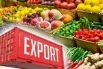 افزایش ۳۸ درصدی ارزش صادرات بخش کشاورزی در آذربایجان شرقی