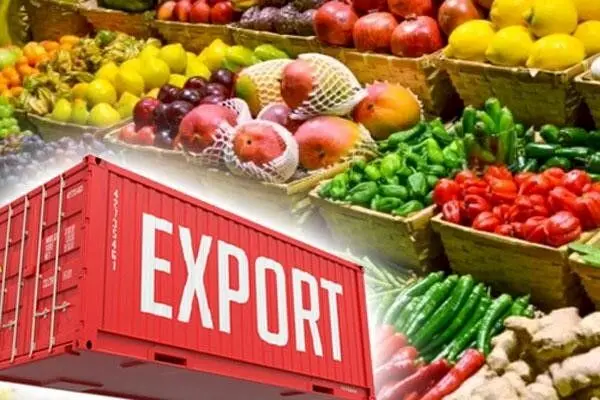 افزایش ۳۸ درصدی ارزش صادرات بخش کشاورزی در آذربایجان شرقی