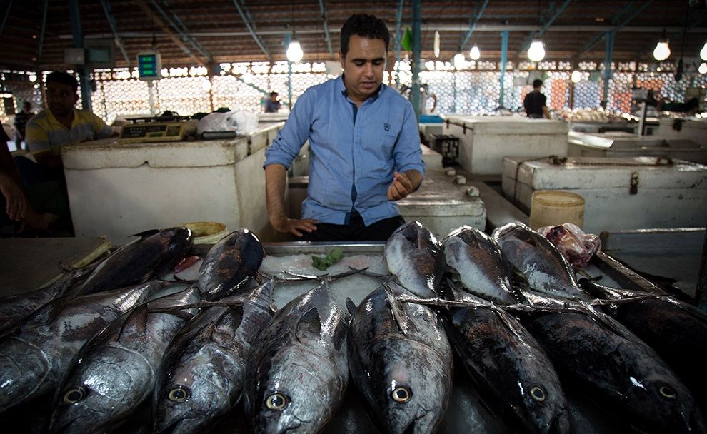 دغدغه ی مردم در خصوص قیمت ماهی مرتفع شود