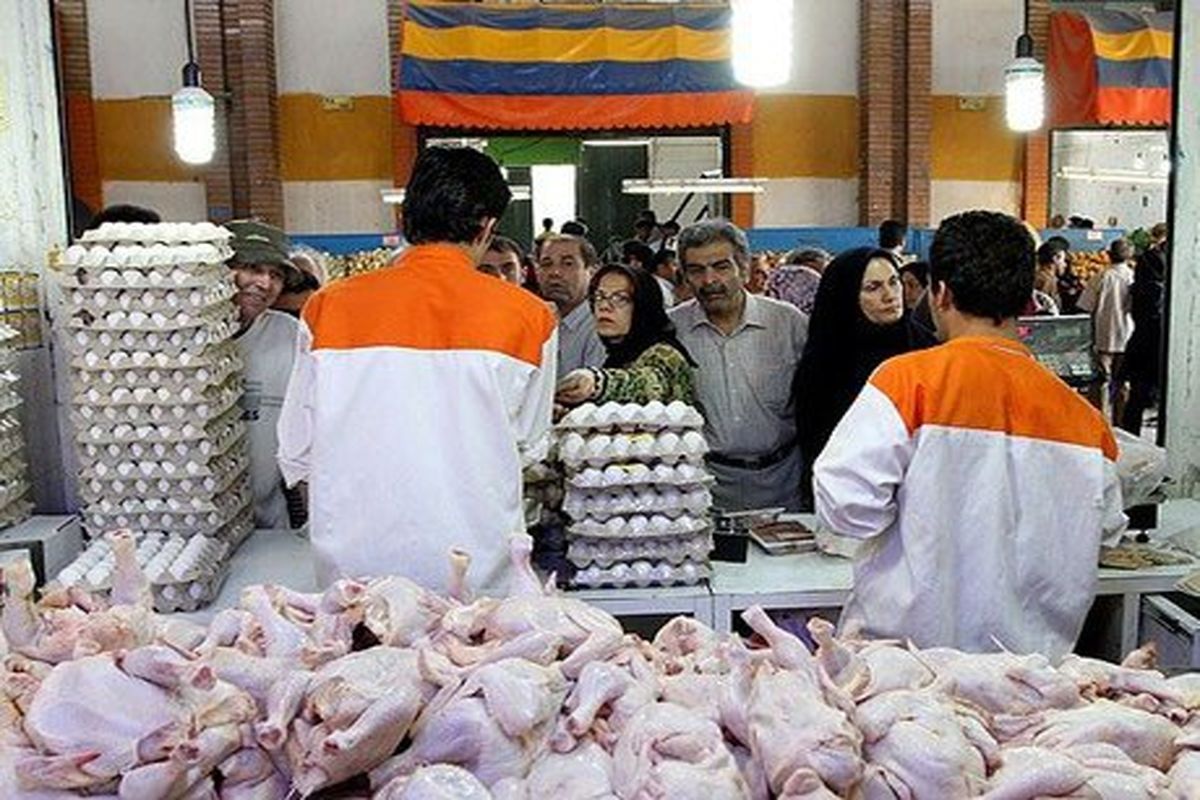 ورود تخم مرغ به کانال ۶۰ هزار تومان/ عرضه مرغ هم چند نرخی شد!