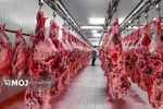 تعادل بازار گوشت در گرو واردات ۱۰ درصدی / توزیع مستقیم، راهکار کاهش قیمت