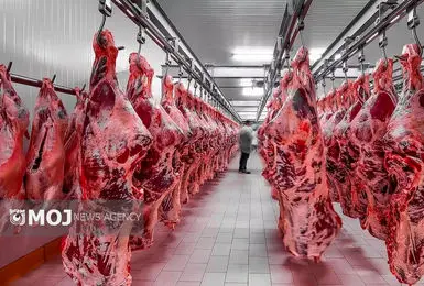 تعادل بازار گوشت در گرو واردات ۱۰ درصدی / توزیع مستقیم، راهکار کاهش قیمت