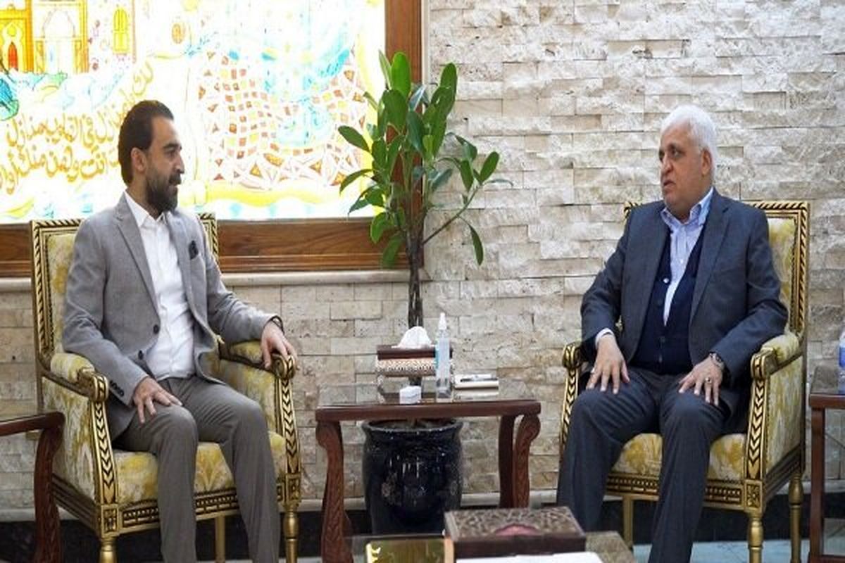 رایزنی رئیس سازمان حشد شعبی با رئیس پارلمان عراق