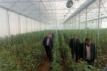 ۳۵ طرح کشاورزی ، خدماتی در شهرستان نجف آباد افتتاح شد