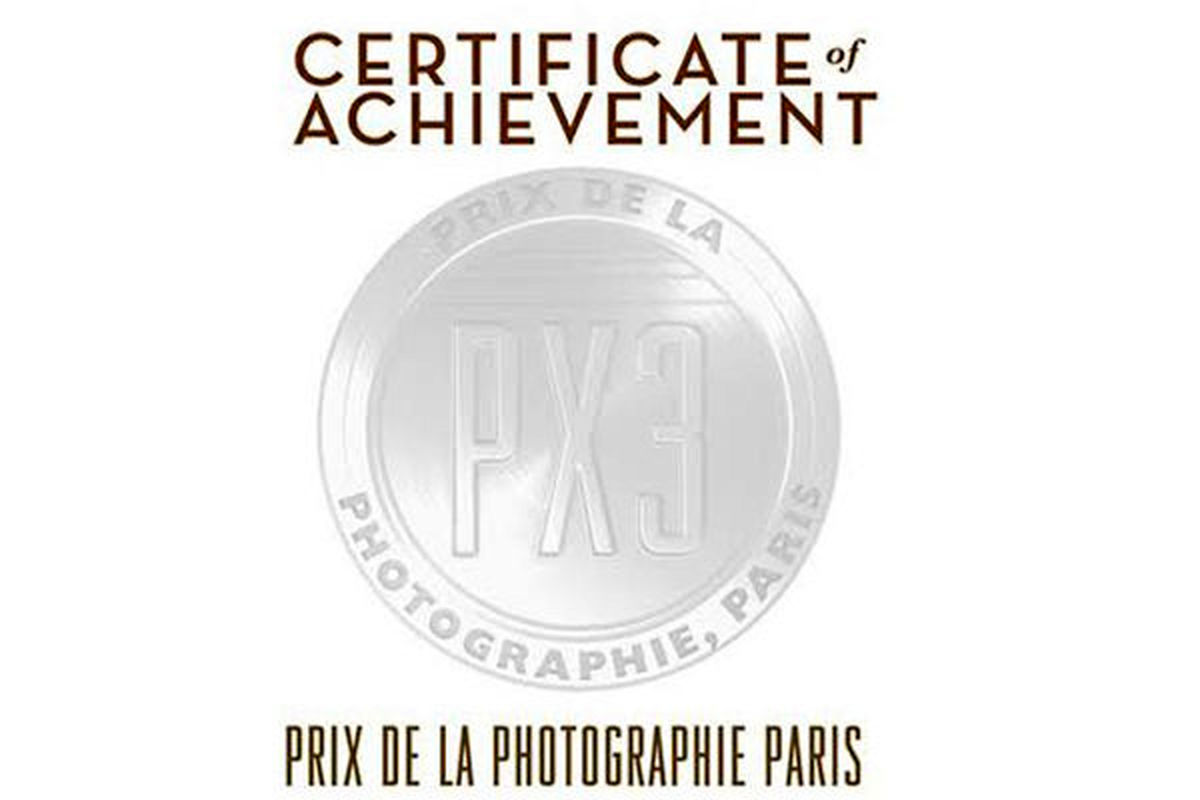 از عکاس بوشهری در جشنواره «پی ایکس ۳» پاریس تقدیر شد