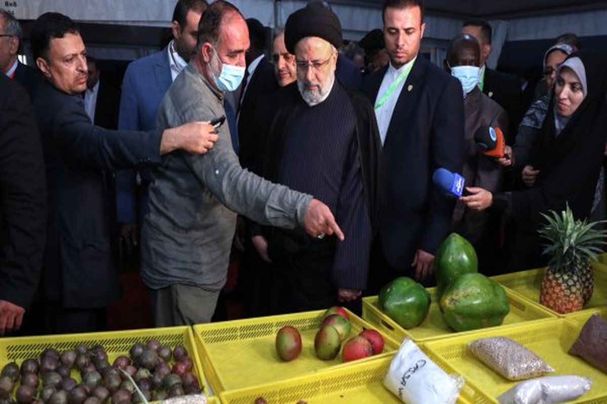 رئیس جمهور از مزرعه کشت فراسرزمینی ایران در اوگاندا بازدید کرد