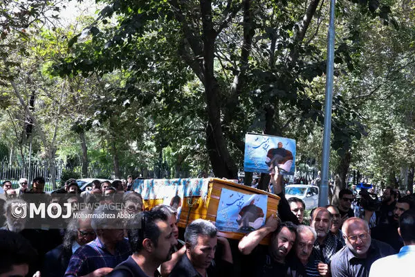 پیکر «محمدعلی بهمنی» شاعر سرشناس کشور وارد بندرعباس شد