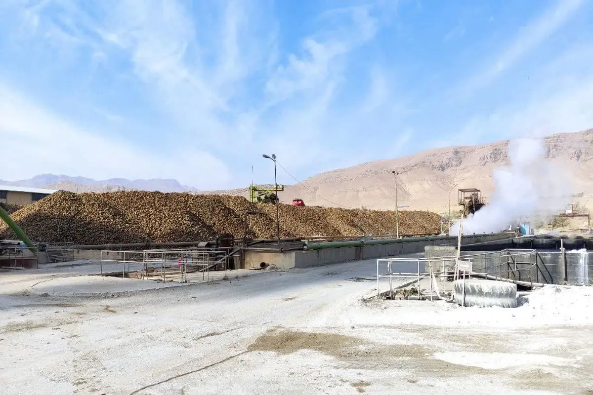 کارخانه قند