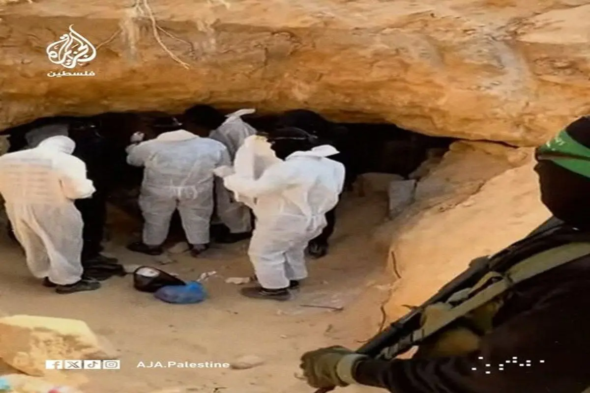 جنبش مقاومت اسلامی