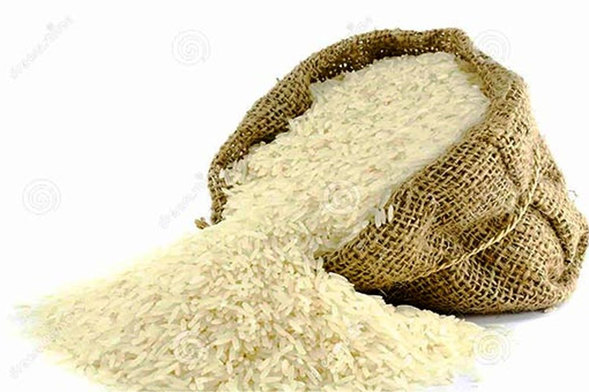برنج های مازندران عاری از باقی مانده سموم و فلزات سنگین است
