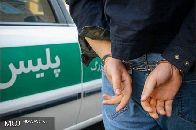 دستگیری هشت نفر اراذل و اوباش در تبریز