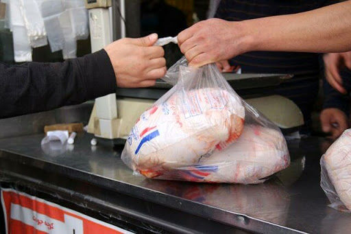 کسری مرغ در مازندران نداریم/ باید مرغ در بازار با قیمت 59800 تومان عرضه شود