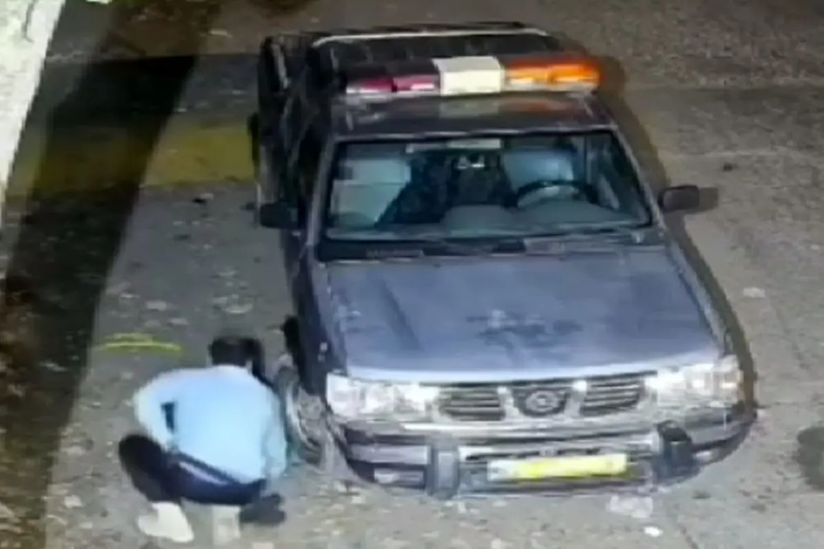 محیط‌بان