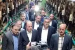 وزیر جهاد کشاورزی از مجتمع کشت و صنعت مغان بازدید نمود