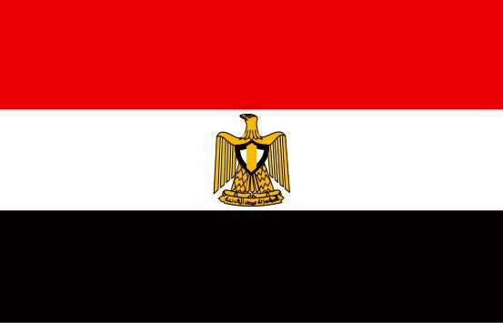 صدور حکم جلب پسران حسنی مبارک از سوی دادگاه جنائی قاهره 