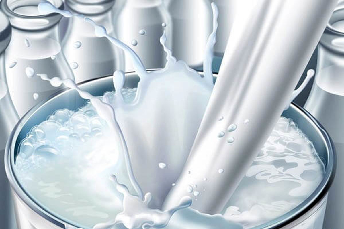 سالانه ۲۴ هزار تن شیر در شهرستان نیر تولید می‌شود