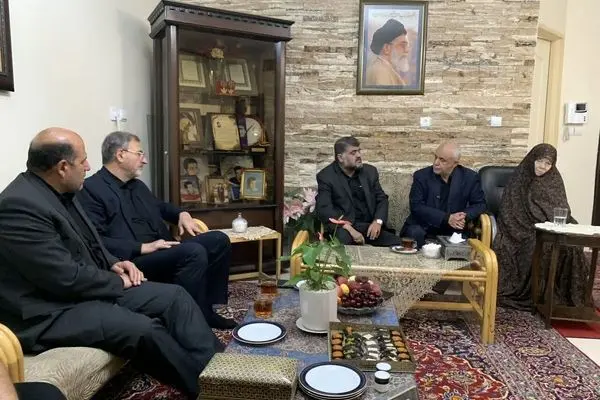 معاون رئیس جمهور به دیدار مادر شهیدان والامقام حسن و محمدباقری رفت