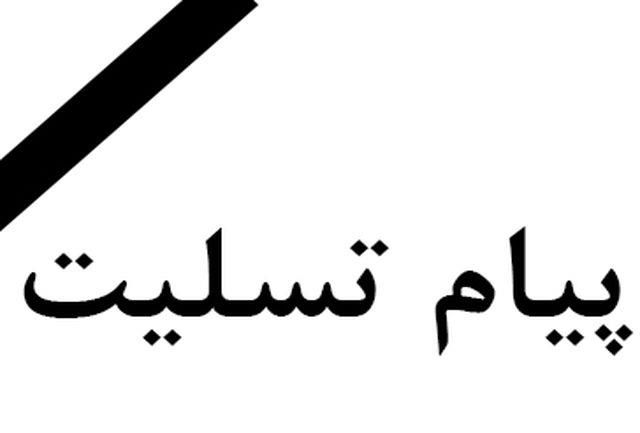 پیام تسلیت رییس کل بیمه مرکزی به مناسبت جان باختن جمعی از هموطنان در حوادث اخیر