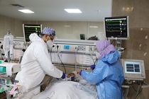 فوت 26 بیمار کرونایی در البرز طی 24 ساعت گذشته در البرز 