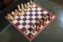طباطبایی در مسابقات شطرنج اسپانیا سوم شد