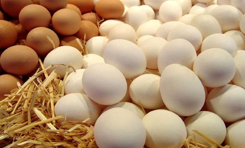  ۱۰۰ هزار تن تخم مرغ امسال صادرات داشته‌ایم