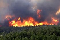 آتش سوزی ۴۵ هکتار از مراتع و زمین های کشاورزی در لرستان