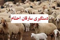 کشف 42 فقره سرقت احشام در آران وبیدگل / 2 سارق دستگیر شدند