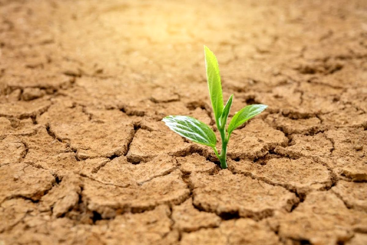 کاهش خسارت خشکسالی با انتقال آب به زمین کشاورز  