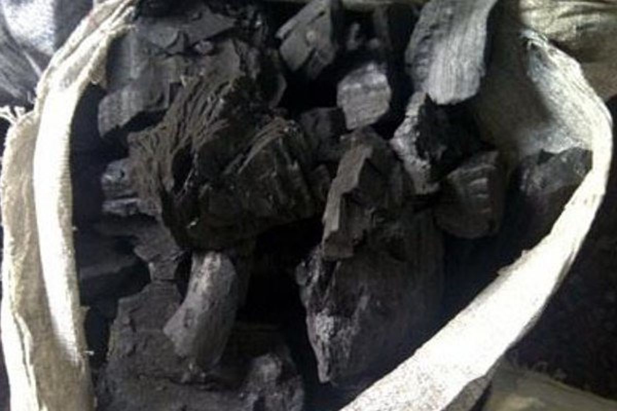 ۳۸ کیسه زغال چوب جنگلی بلوط در دلفان کشف شد
