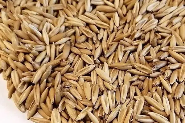 قیمت خرید تضمینی جو اعلام شد