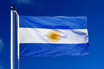 آرژانتین هواپیماهای "بوئینگ 737 مکس" خود را زمین گیر کرد