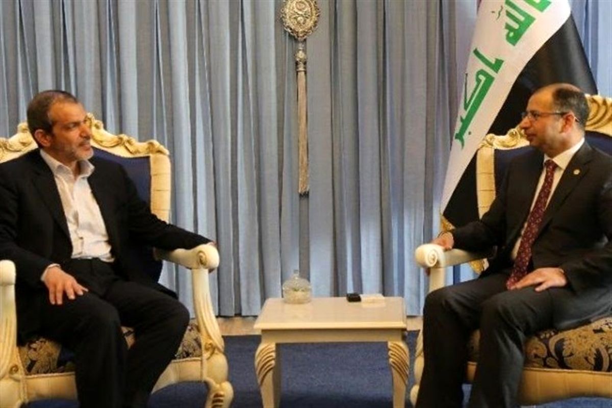 دیدار دانائی‌ فر با رئیس پارلمان عراق