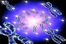 ارائه تکنیکی نوین برای تشخیص ناهنجاری‌های کروموزومی در ناباروری مردان