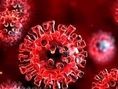 پیشتازی و سرعت بالای ابتلا به سویه جدید EG5 / شناسایی سویه‌های جدید ویروس کرونا با پایش و رصد جهش‌ها