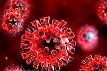 خانه نشینی ویروس کرونا بیش از یک سال در بافت های بدن