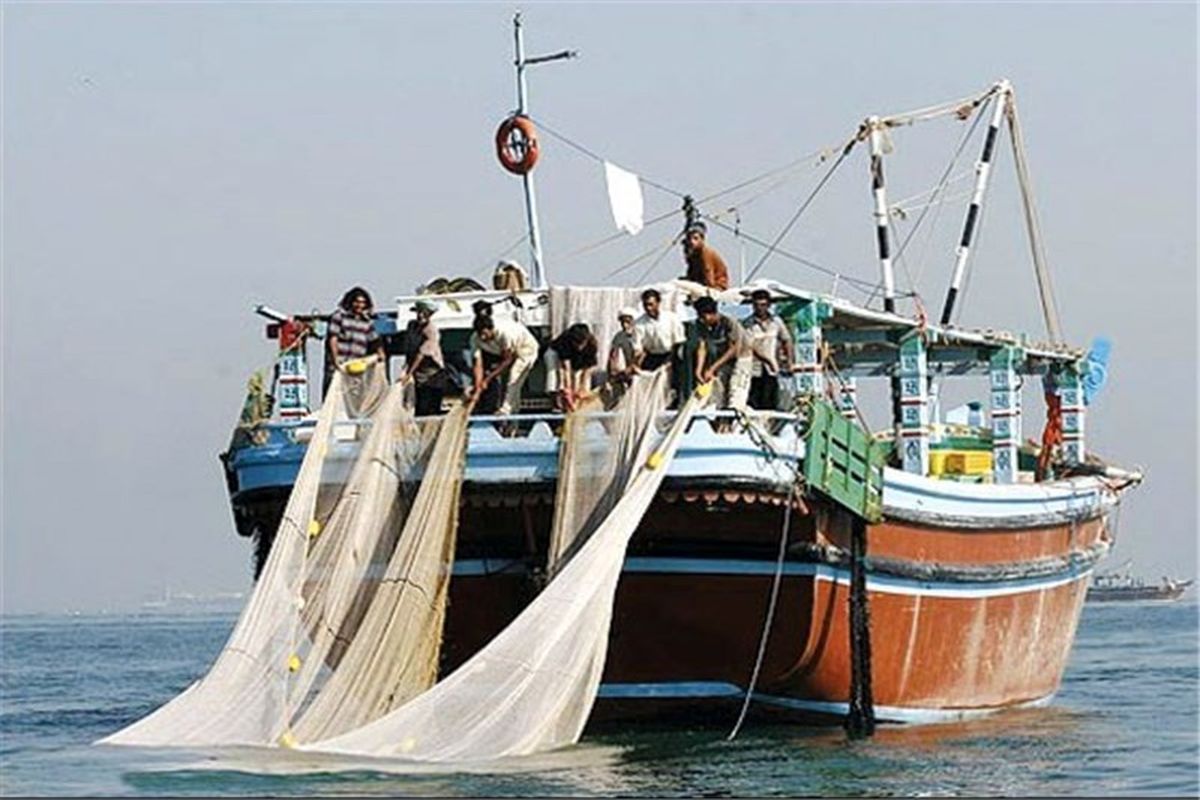 صید ۱۶۰ تن شوریده ماهیان در هرمزگان