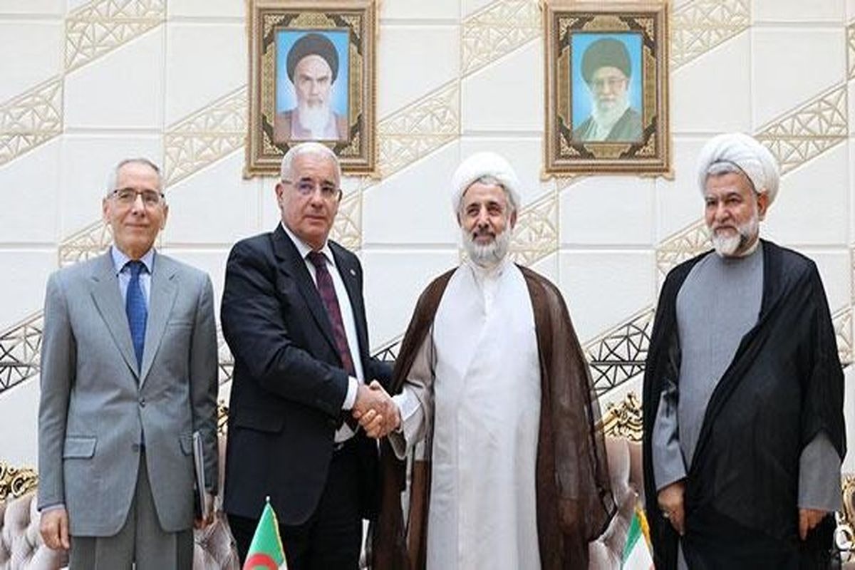 رئیس مجلس الجزایر با استقبال نایب رئیس مجلس شورای اسلامی وارد تهران شد